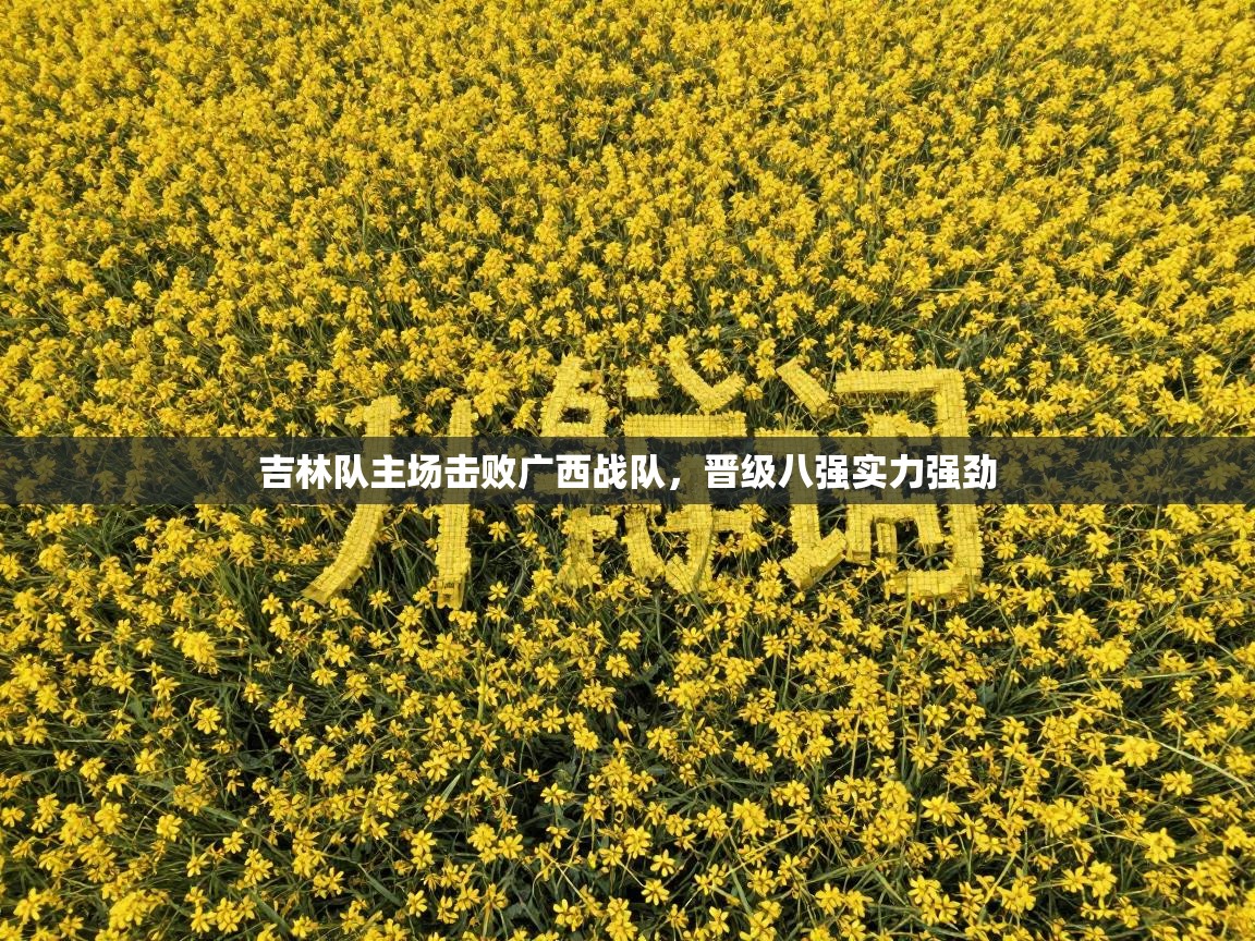 云开体育app登录入口-吉林队主场击败广西战队，晋级八强实力强劲  第2张