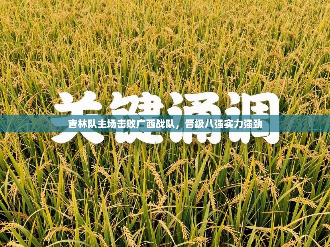 云开体育app登录入口-吉林队主场击败广西战队，晋级八强实力强劲  第3张